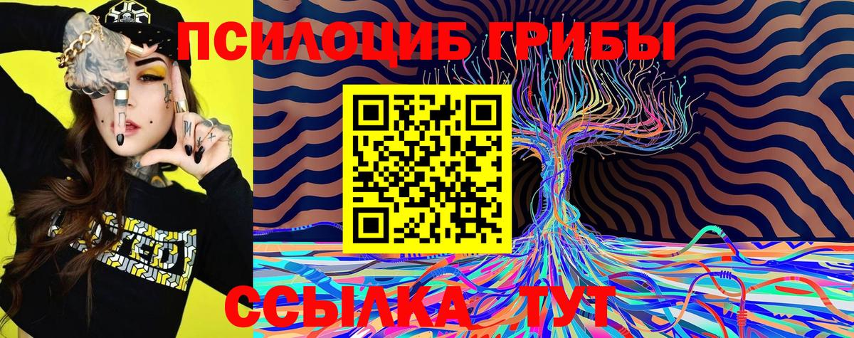 Галлюциногенные грибы Psilocybine cubensis Сарапул