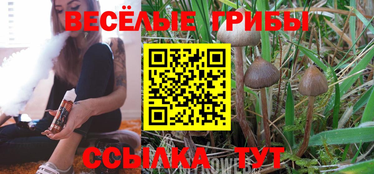 Галлюциногенные грибы GOLDEN TEACHER  продажа наркотиков  Сарапул  Псилоцибиновые грибы Psilocybine cubensis  Вход с VPN 
